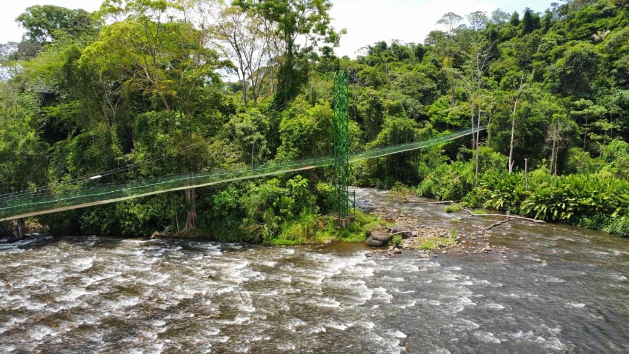 Tirimbina Rainforest Lodge Sarapiquí Exterior foto