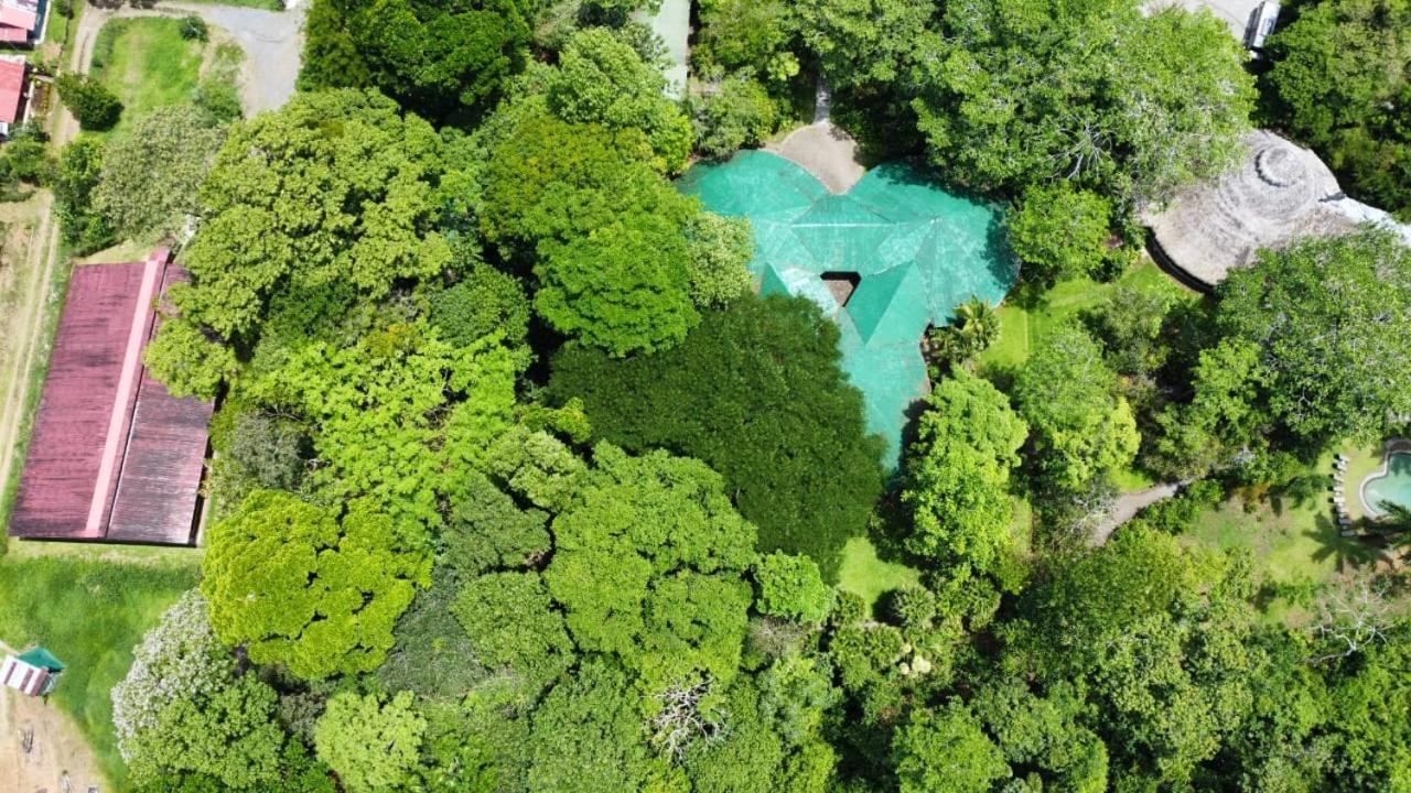 Tirimbina Rainforest Lodge Sarapiquí Exterior foto