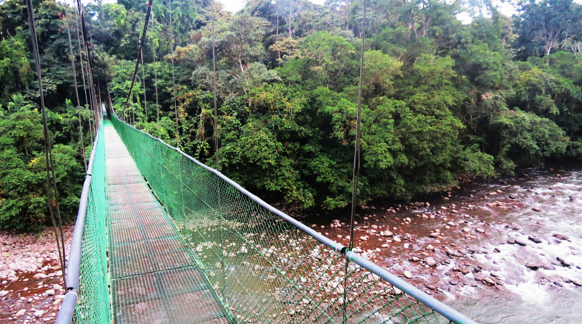 Tirimbina Rainforest Lodge Sarapiquí Exterior foto