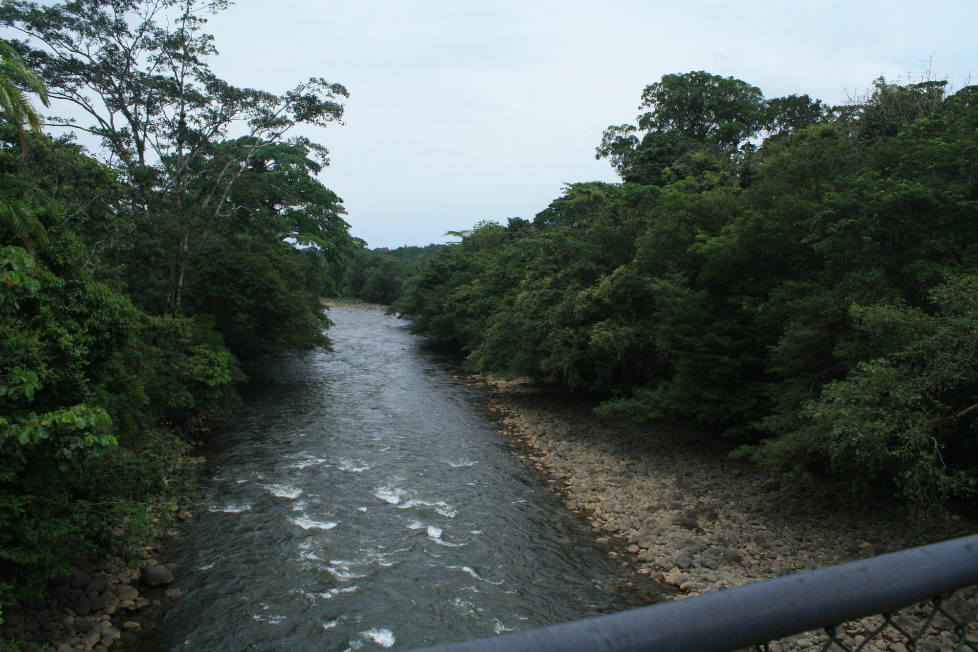 Tirimbina Rainforest Lodge Sarapiquí Exterior foto